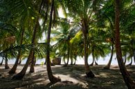 Tropischer Palmenstrand von Roel Beurskens Miniaturansicht