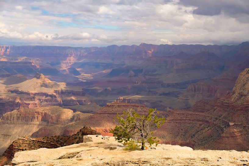 Big things often have small beginnings, Grand Canyon par Colin Bax