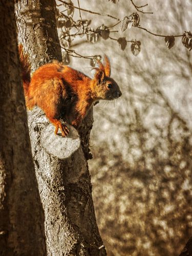 En route pour le saut