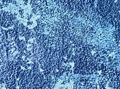 Blauw van Katrin May thumbnail