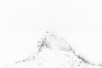 Stiller Pfad im Schnee