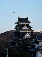 Kasteel van Okayama in de avond