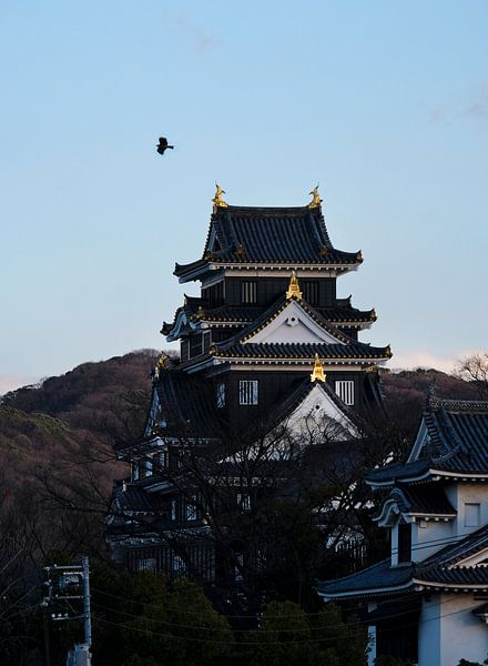 Kasteel van Okayama in de avond van Lensw0rld