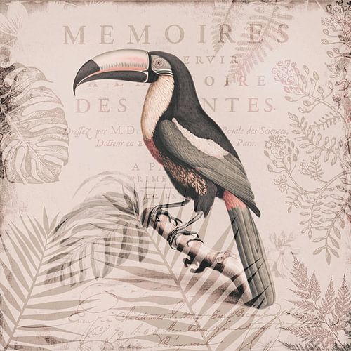 Toucan Paradise von Andrea Haase