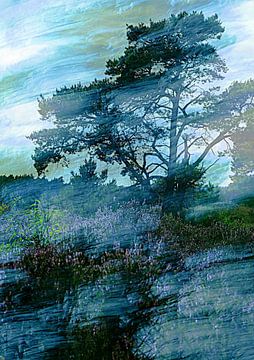 Wuthering Heights van Anita Snik-Broeken