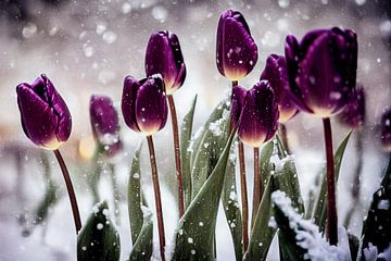 Tulipes dans la neige, Art Illustration 03 sur Animaflora PicsStock
