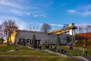 Spaziergang an einen kalten Wintertag durch die Landeshauptstadt von Thüringen - Erfurt - Deutschland von Oliver Hlavaty