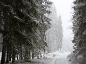 Zweeds winterbos van Arthur van Iterson thumbnail