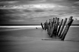 The Beach, version noir et blanc sur Truus Nijland