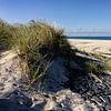 Dünen auf Sylt von JGS-DigitalArt