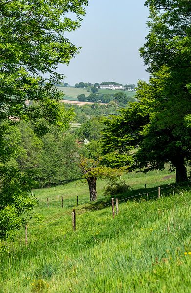 Uitzicht op het Zuid-Limburgse heuvellandschap van John Kreukniet