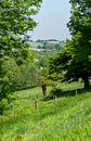 Uitzicht op het Zuid-Limburgse heuvellandschap van John Kreukniet thumbnail