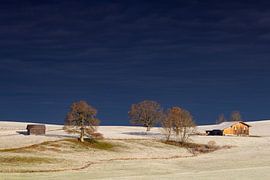 Morgenstimmung mit Raureif nähe Steingaden von Andreas Müller