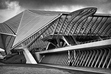 Treinstation Guillemins @ Luik van Rob Boon