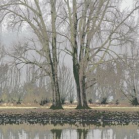Deux arbres se reflètent dans l'IJssel sur Gea van der Veen-Smedeman