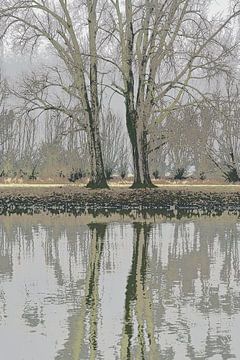 Deux arbres se reflètent dans l'IJssel