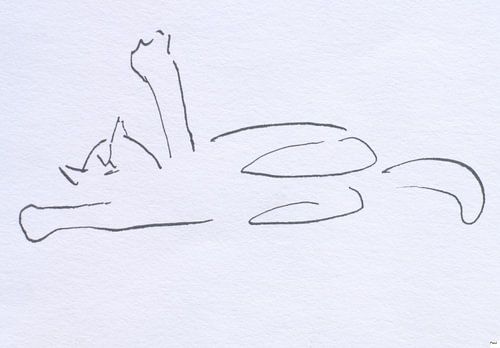 Sketch playing young cat