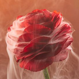 Tangerine Twist: A red carnation enveloped in smoke by Marjolijn van den Berg