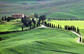 Tuscany by luc Utens
