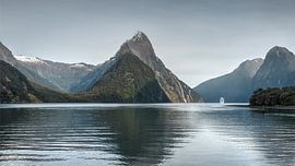 Milford Sound von Marc van Kessel