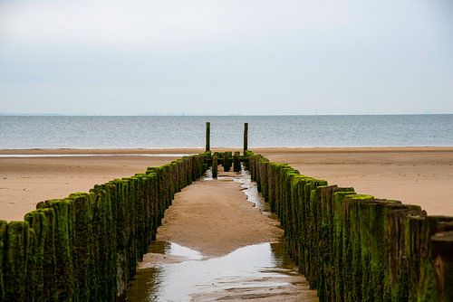 Golfbrekers bij Zoutelande
