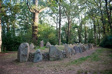 Hunebed D43 langgraf van Richard Wareham
