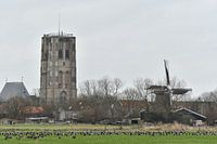 Goedereede