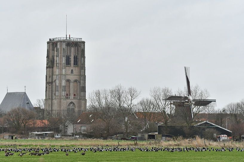 Goedereede von Mirjam de Jongh