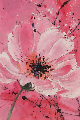 Pink Botanical Studies II – Open Bloom