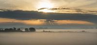 Aufgehende Sonne im Hoekschewaard