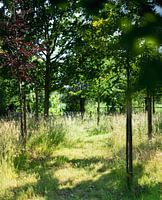 jardin mystique