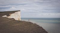 Vuurtoren langs de kalkkliffen bij Beachy head
