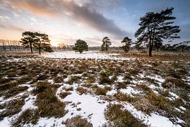 Sonnenaufgang am Berghang von Max ter Burg Fotografie
