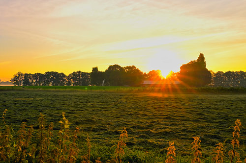 Sonnenaufgang über einem gemähten Feld mit sanften Lichtstrahlen