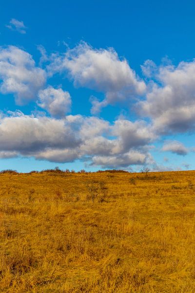 Wandeling door de prachtige Hainich Vallei van Oliver Hlavaty