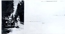 Car tears von Studio Blomm