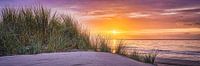 duin strand en noordzee bij zonsondergang van eric van der eijk thumbnail