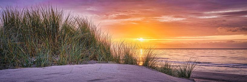 dune beach and north sea at sunset by eric van der eijk