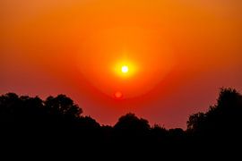 The burning heart of the savannah: Africa's fiery farewell by Timo Musiol