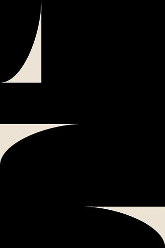 Abstracte vormen in zwart-wit II