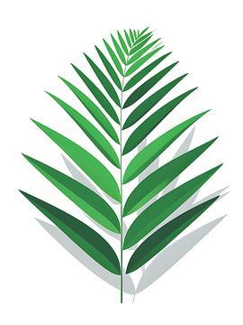 Fronde de palmier tropical sur Giandra Safaraz