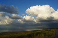 Hollandse kust par Michel van Kooten Aperçu