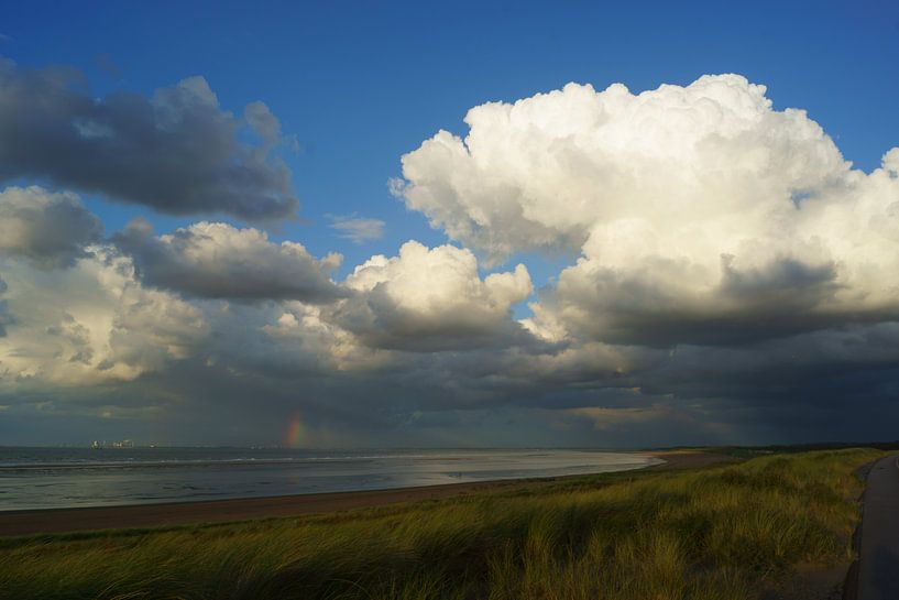 Hollandse kust van Michel van Kooten