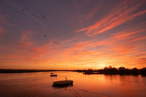 Vurige zonsopkomst boven de rivier van Moetwil en van Dijk - Fotografie