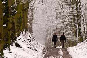 Winterwandelaars von Wim van der Ende