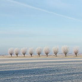 Winter landschap van Piertje Kruithof