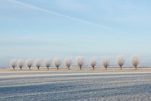 Winter landschap van Piertje Kruithof