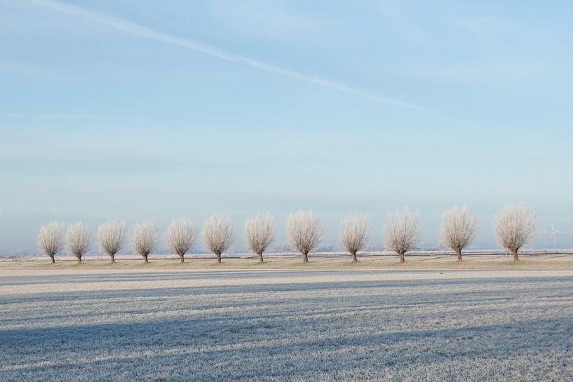 Winter landscape by Piertje Kruithof