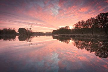 Sonnenaufgang und niederländische Polderlandschaft von Original Mostert Photography