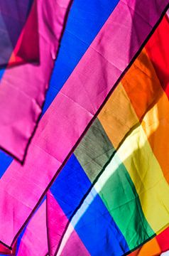 Rainbow flags 1 by Frans Blok